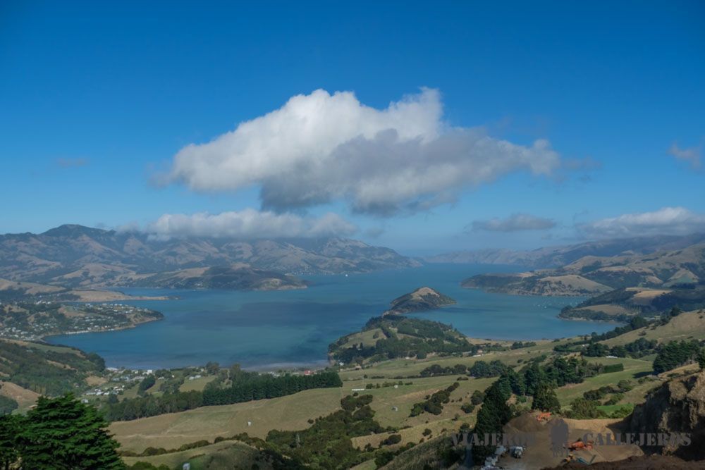 Que ver y hacer en la Península de Banks y Akaroa