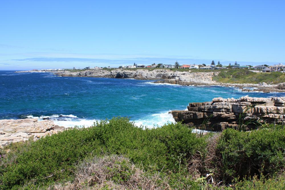 Hermanus