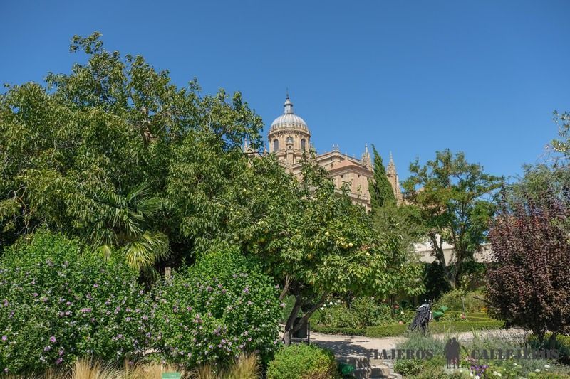 Huerto de Calixto y Melibea