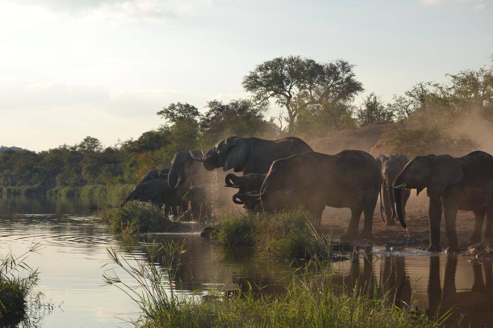 Kruger
