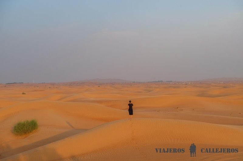 Excursión al desierto desde Abu Dhabi