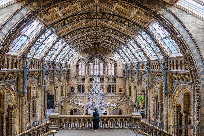 Museo de Historia Natural