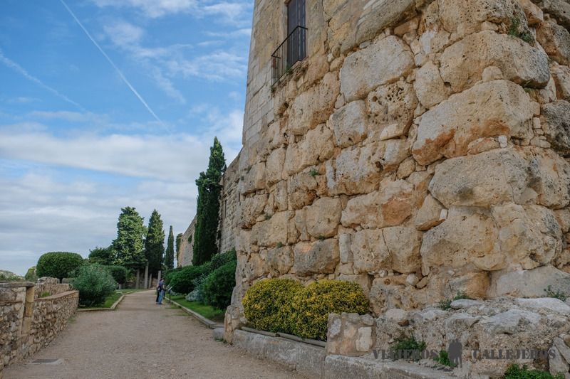 El Paseo Arqueológico, una de las mejores cosas que hacer en Tarragona
