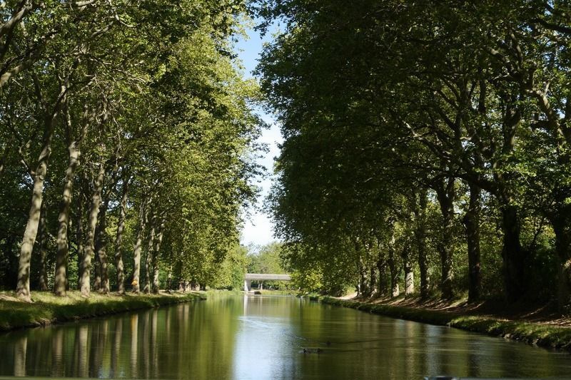 Canal du Midi, uno de los lugares que visitar en Carcasona