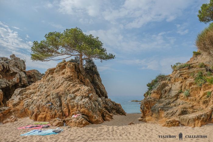 Cala Punta D'en Sureda