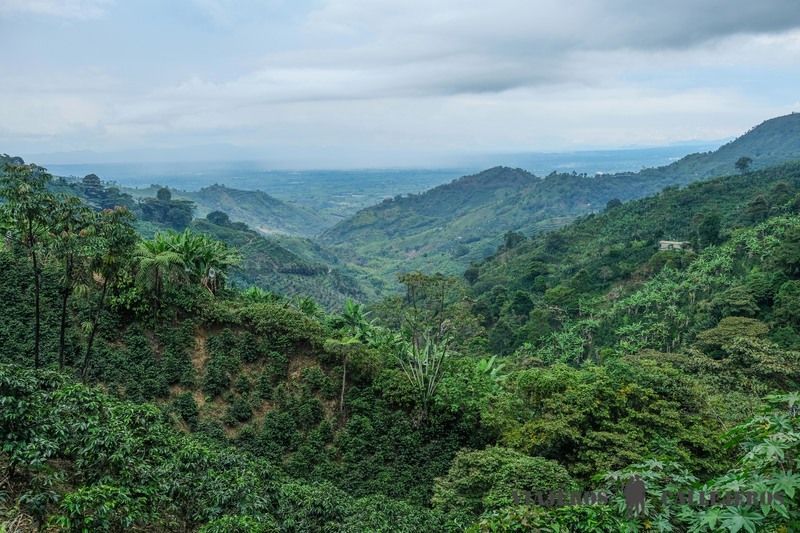 Eje Cafetero de Colombia