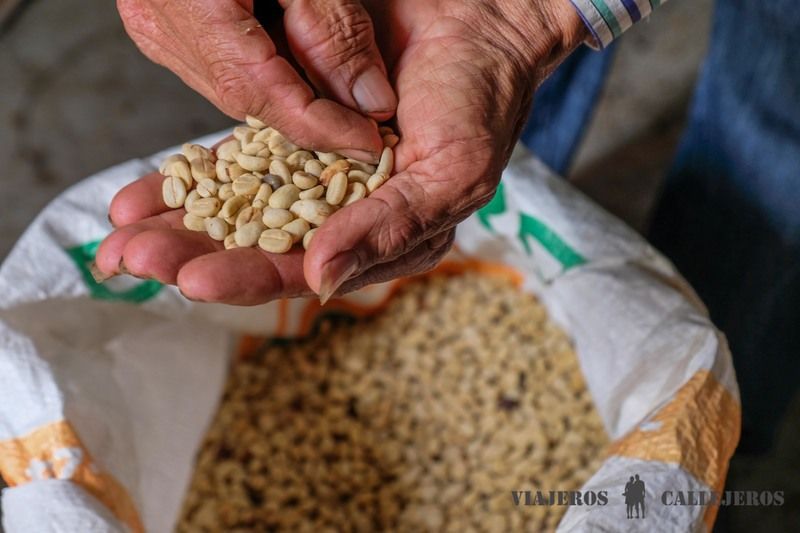 Visitar una Finca Cafetera