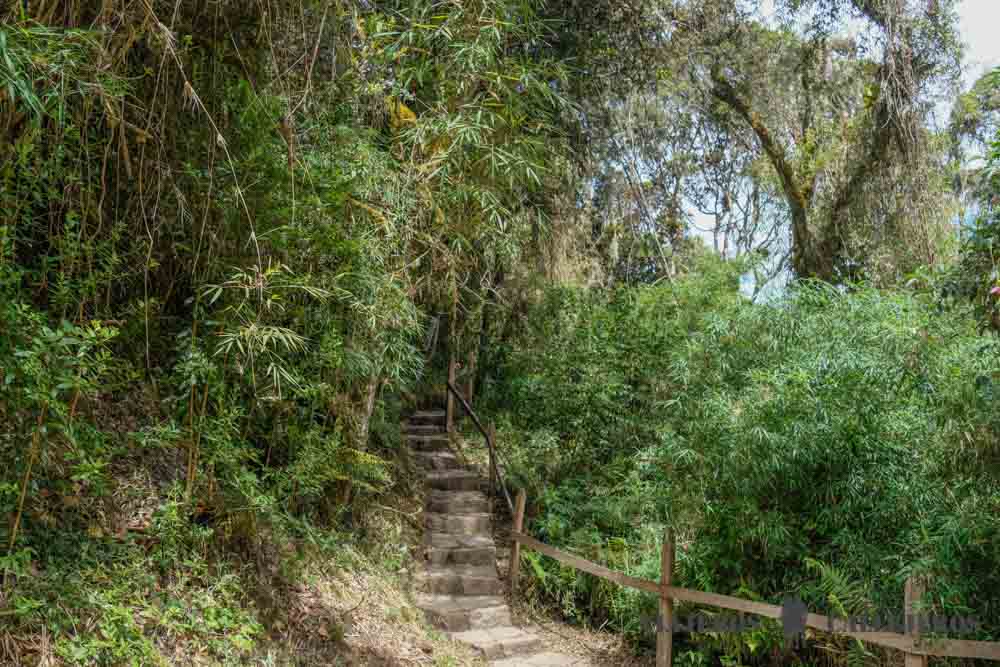 Sendero de la Laguna de Guatavita