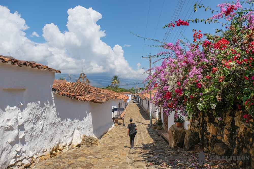 Guane