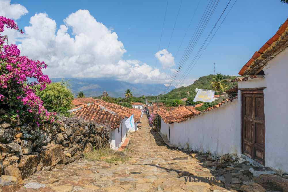 Guane