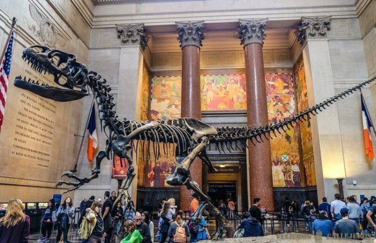 Museo de Historia Natural