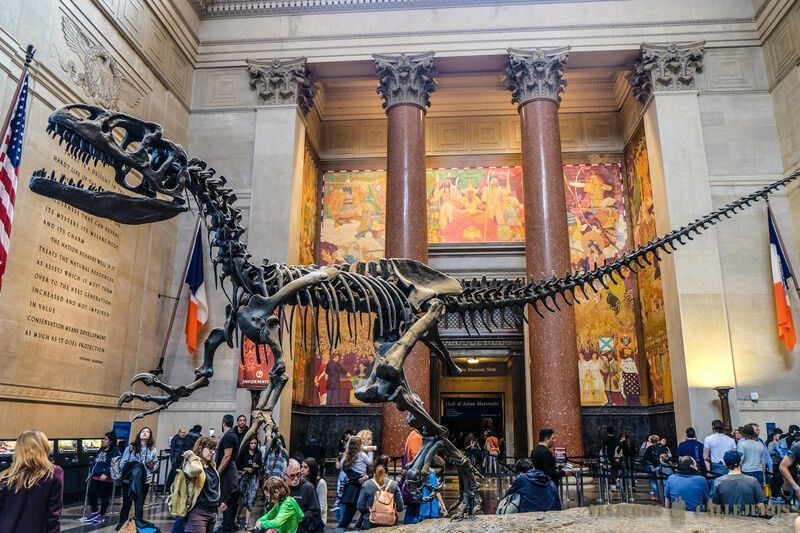 Museo de Historia Natural, uno de los mejores museos de Nueva York