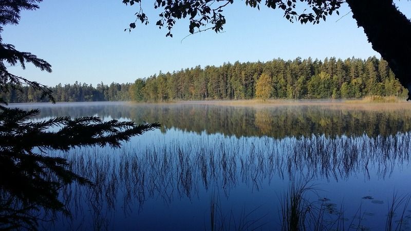 Parque Nacional de Nuuksio