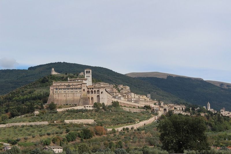 Asís