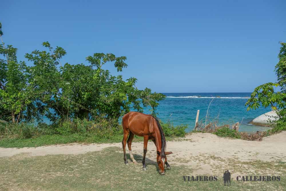 Parque Tayrona