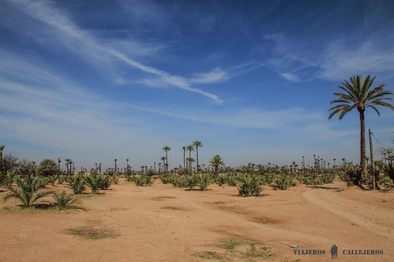 El Palmeral de Marrakech