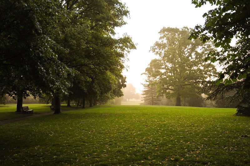 Royal Victoria Park