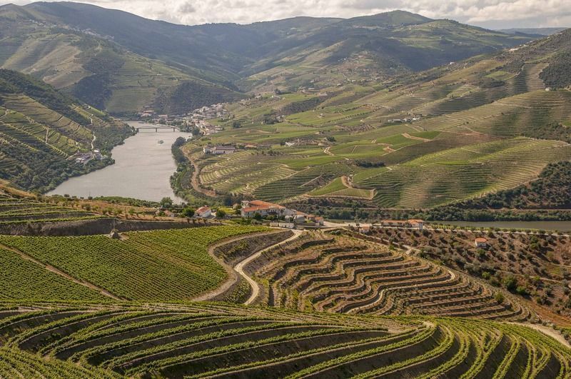 Valle del Duero