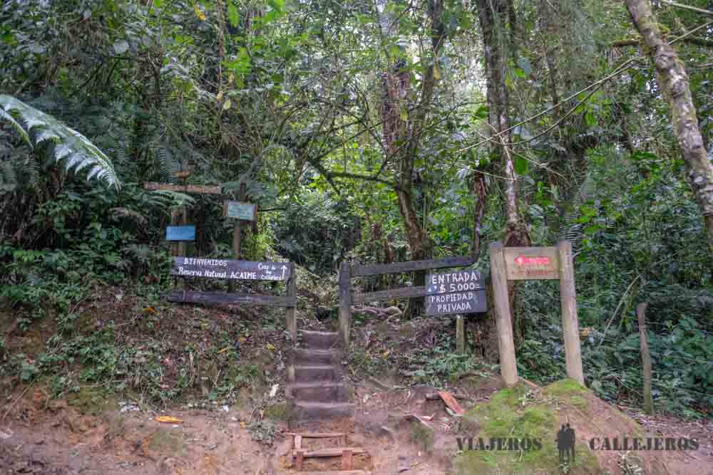Sendero de entrada a la Casa de los Colibríes