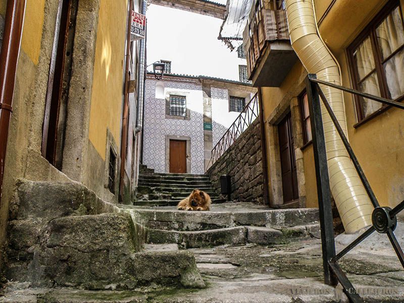 Barrio do Barredo