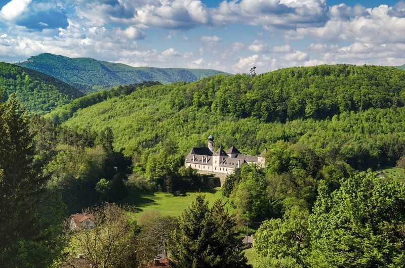 Bosques de Viena