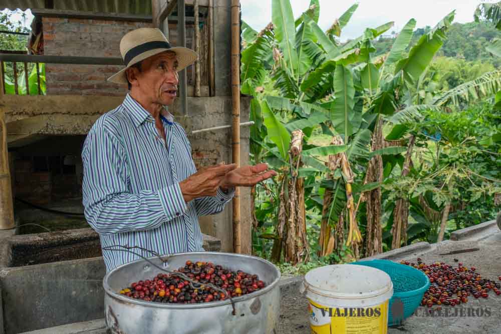 Visitar una finca cafetera, una de las cosas que hacer en una ruta por el Eje Cafetero