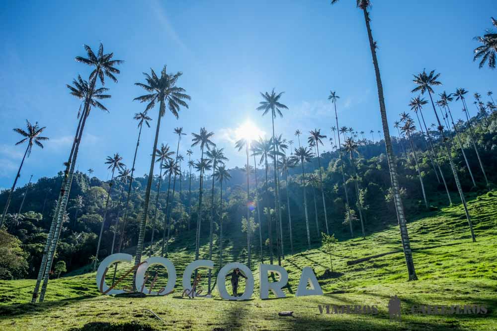 Valle de Cocora