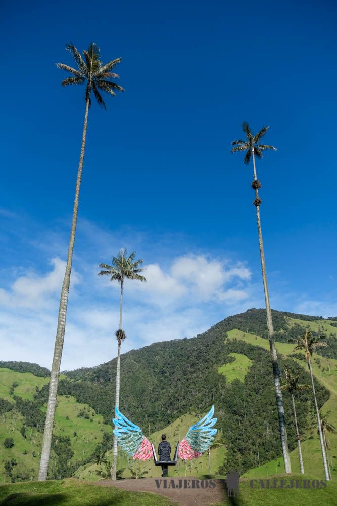 Columpio en el Valle de Cocora