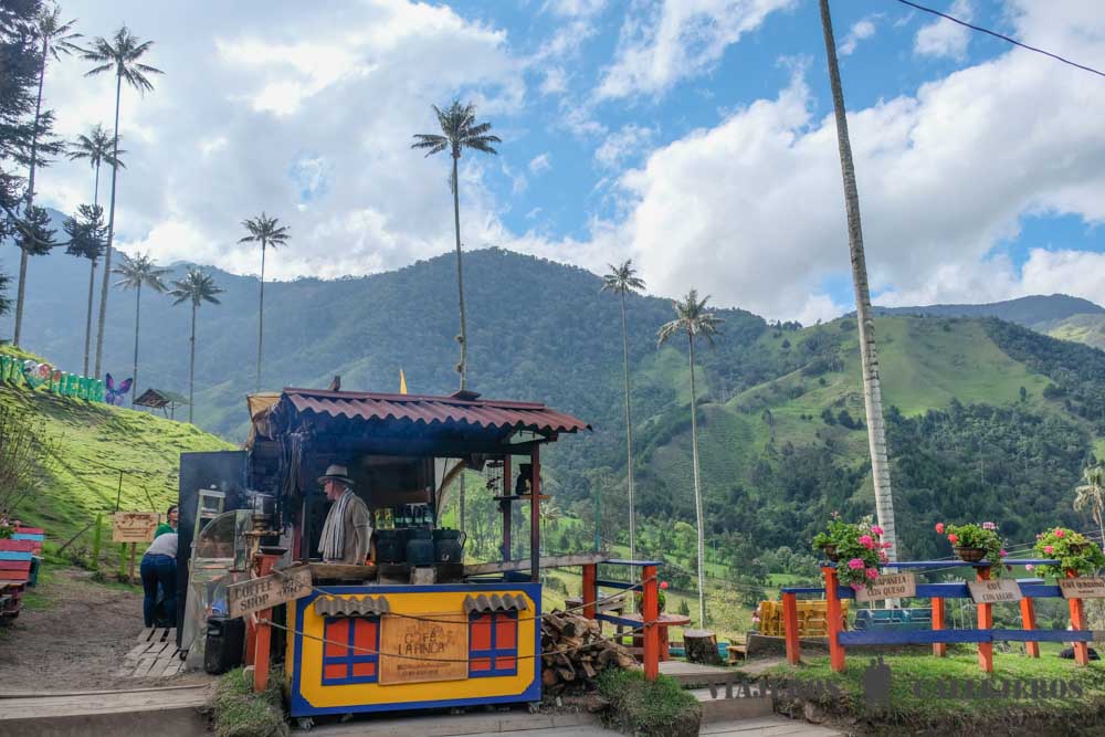 Carretera de acceso al trekking por el Valle de Cocora