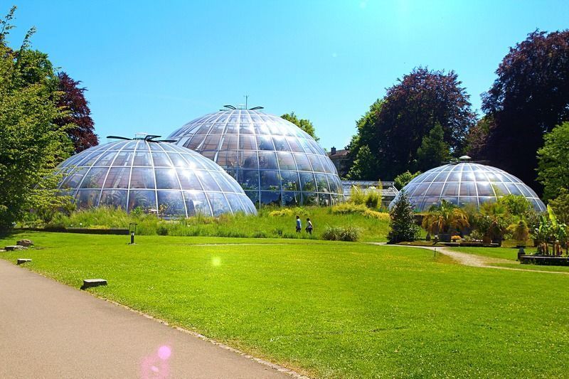 Jardín Botánico, uno de los lugares que visitar en Zúrich