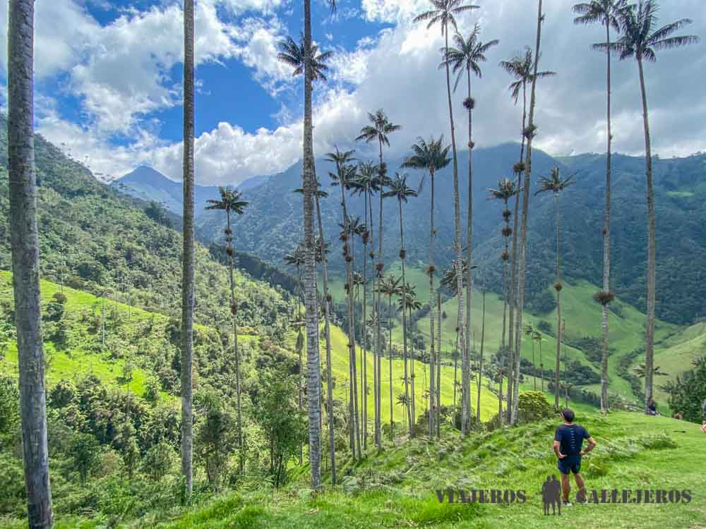 Valle de Cocora, uno de los imprescindibles en un viaje al Eje Cafetero