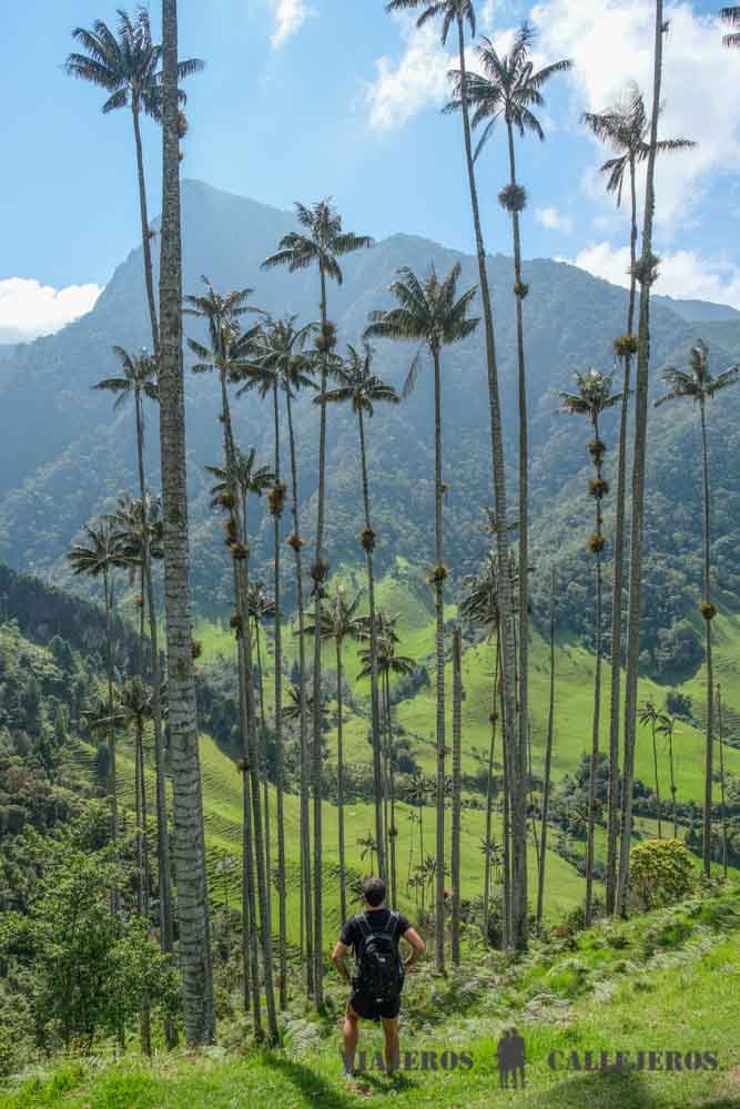 Trekking Valle de Cocora, una de las excursiones que debes hacer al viajar a Colombia