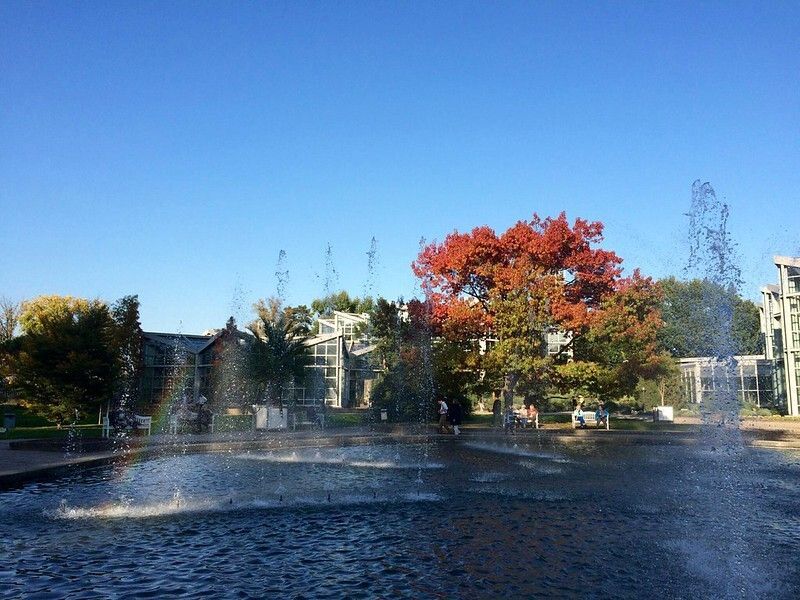 Palmengarten