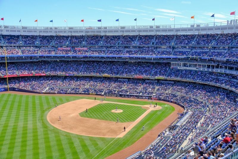 New York Yankees