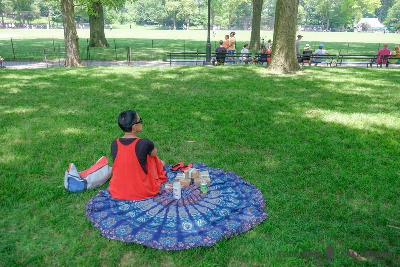 Picnic con Whole Market