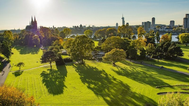 Pasear por Rheinpark, una de las cosas que hacer en Colonia