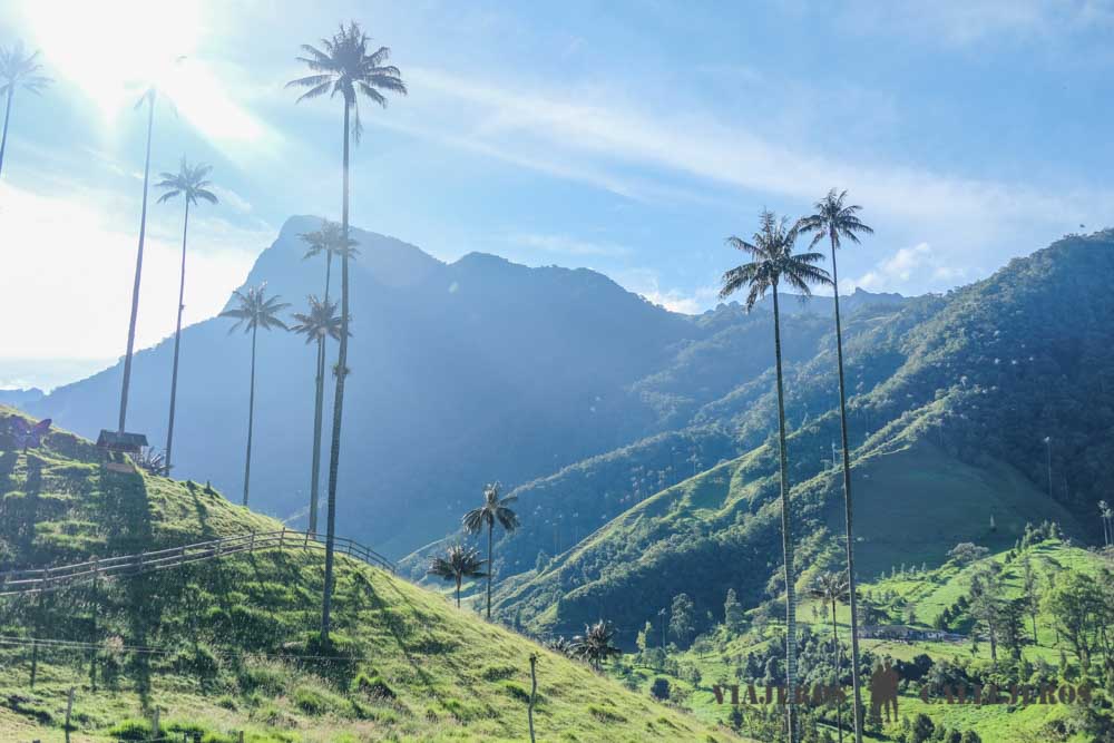 Vistas del Valle de Cocora