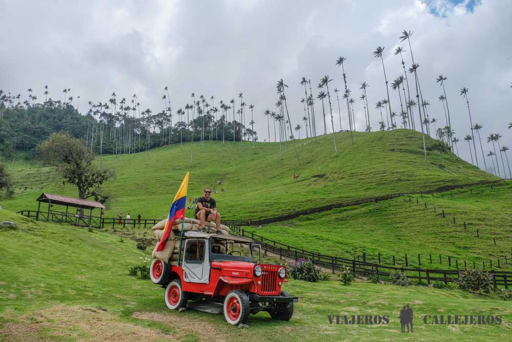 Trekking por el Valle de Cocora