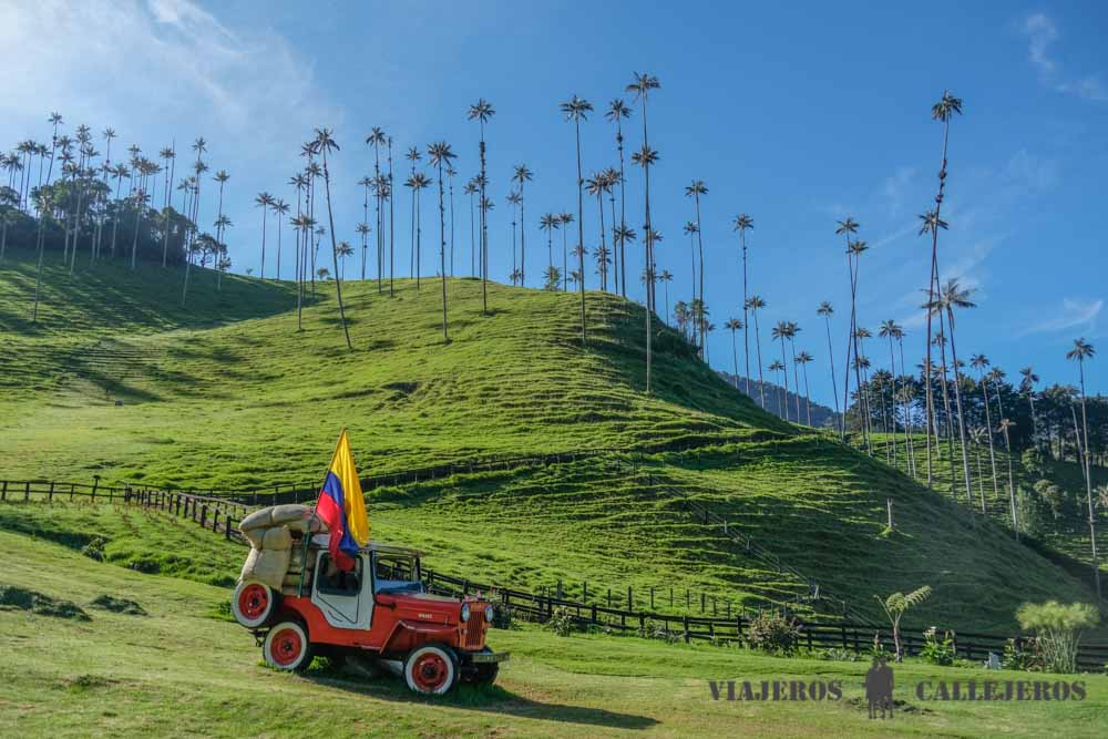 Trekking por el Valle de Cocora