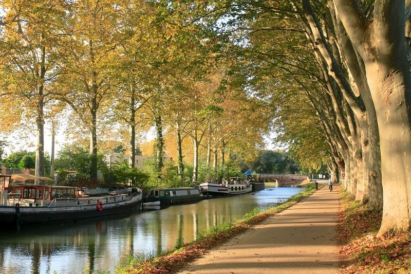 Pasear por el Canal du Midi, otra de la cosas que hacer en Toulouse