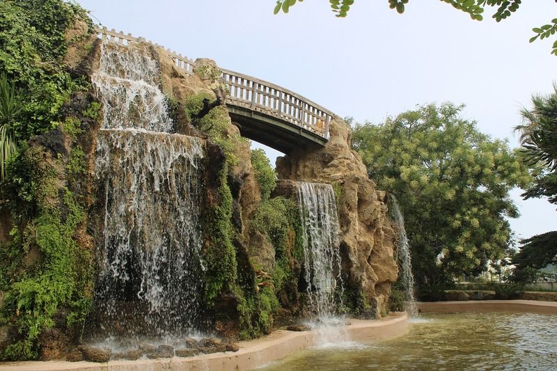 Pasear por el Parque Genovés, una de las cosas que hacer en Cádiz