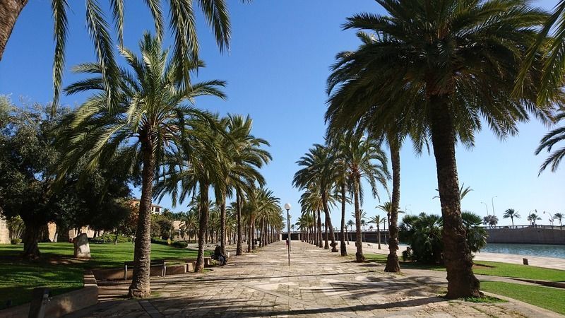 Paseo Marítimo, que ver en Palma de Mallorca