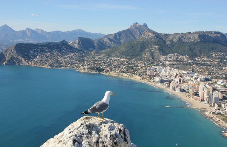 Tour gratis en Alicante