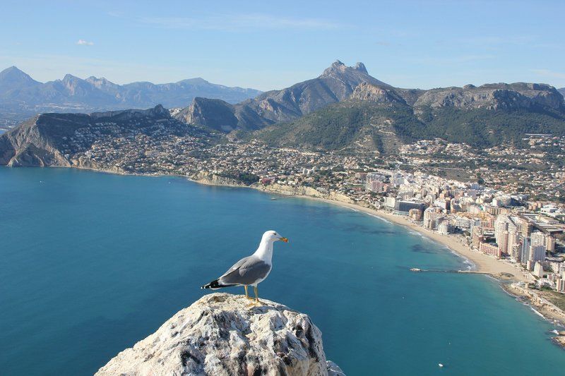 Tour gratis en Alicante