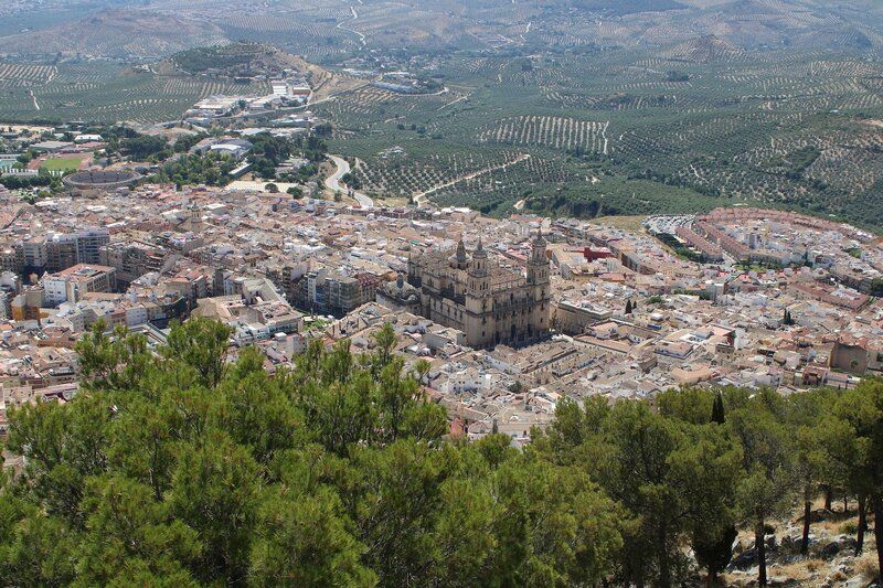 Free tours en Jaén
