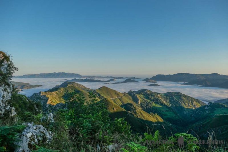 Mirador de la Reina