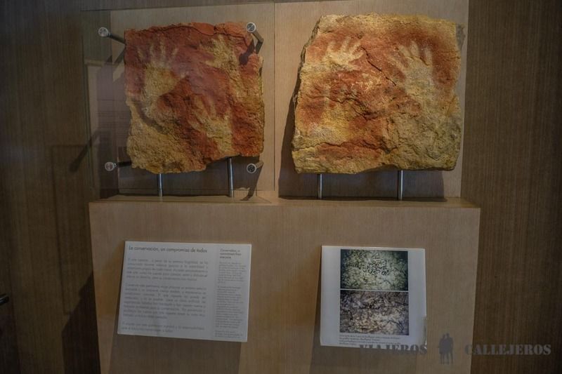 Museo de las Cuevas de Altamira