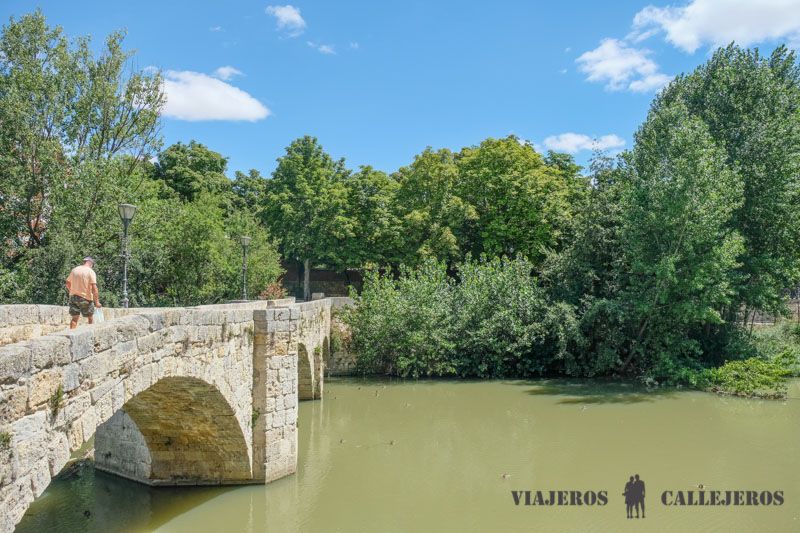 Paseo por la orilla del Carrión, una de las cosas que hacer en Palencia