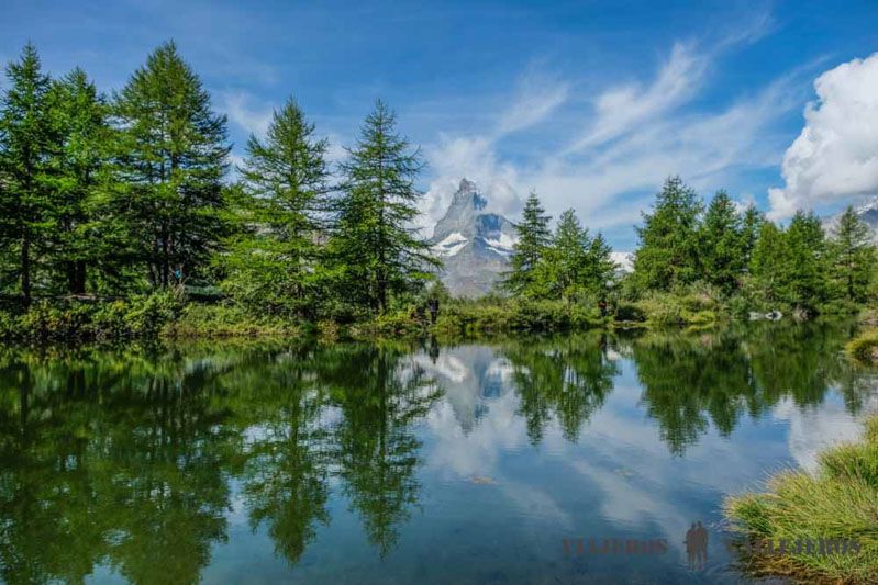 Ruta 5 Lagos, otro de los lugares que visitar en una ruta en trenes panorámicos por Suiza