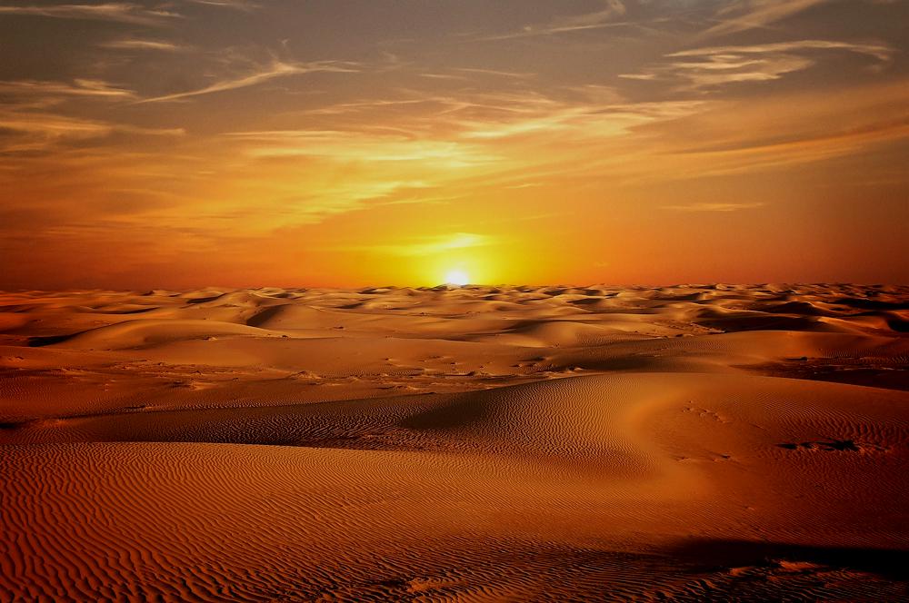 Excursión al Desierto